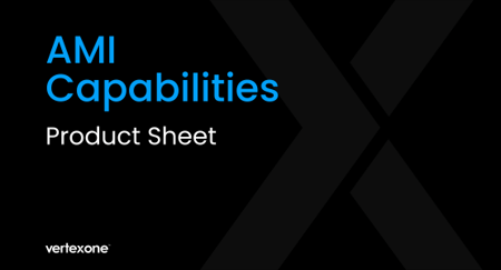 VertexOne, AMI Capabilities with VXsmart Graphic